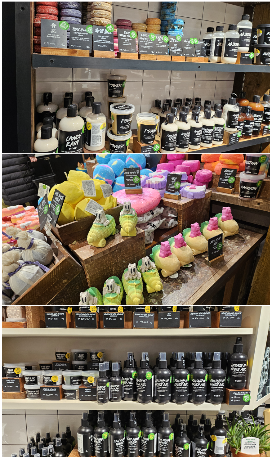 2025-러쉬-프레쉬-세일-오프라인-매장-모습-이미지