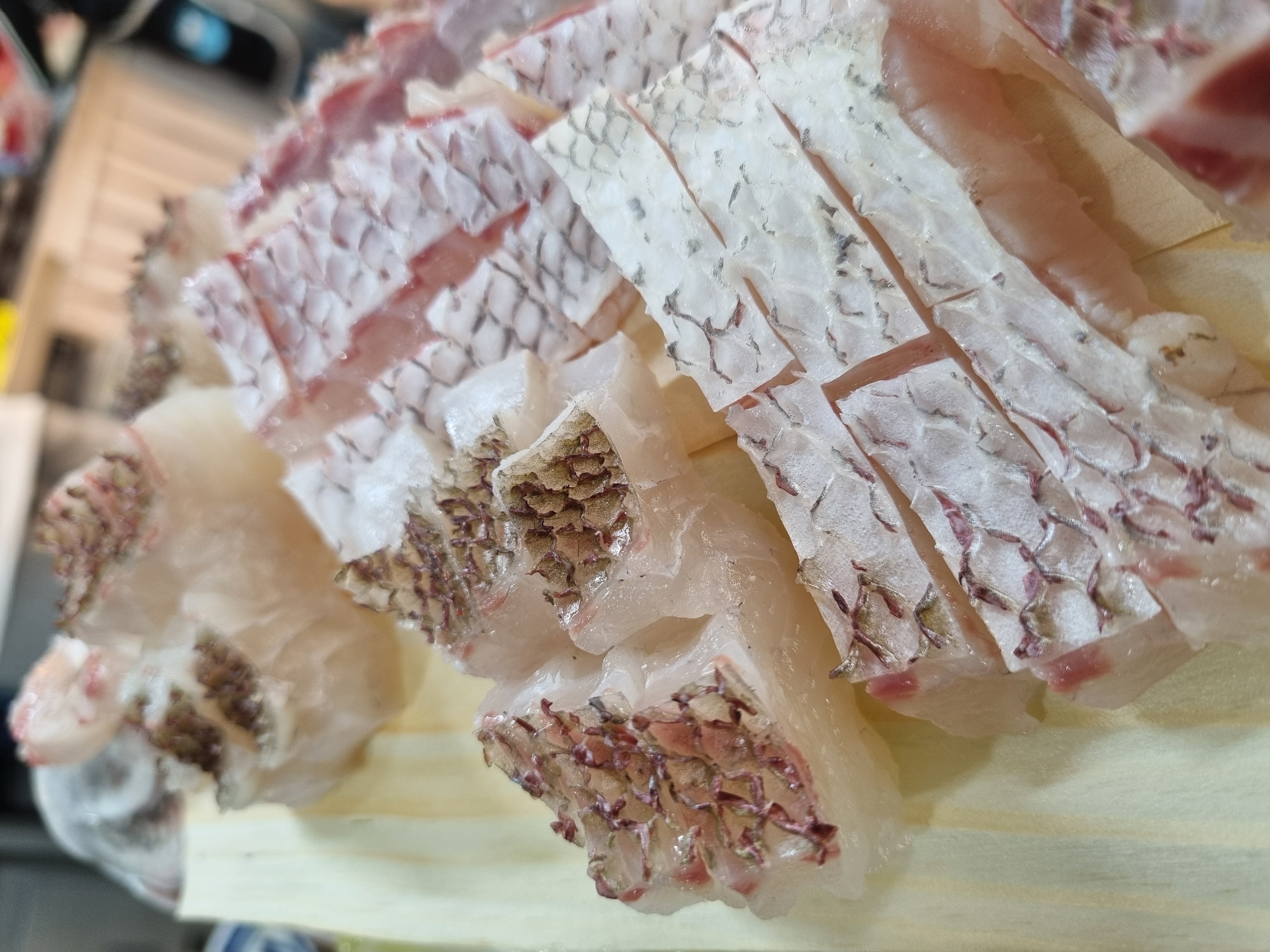 참돔 유비끼의 살