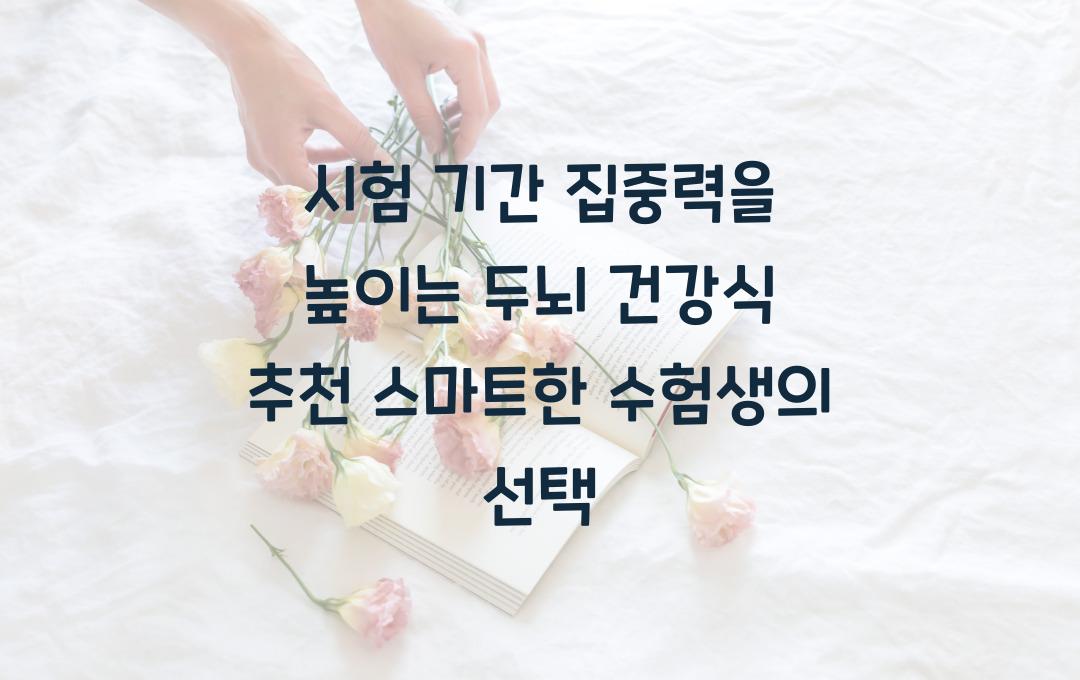 시험 기간 집중력을 높이는 두뇌 건강식 추천
