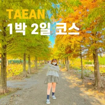 태안 여행코스 추천 꽃지해변 포함한 드라이브 코스 안내_4