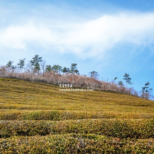 전남 가볼만한곳 베스트10