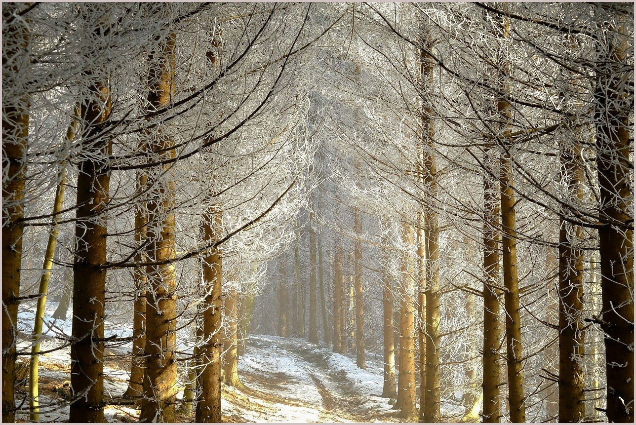 그랜저 신차가격표