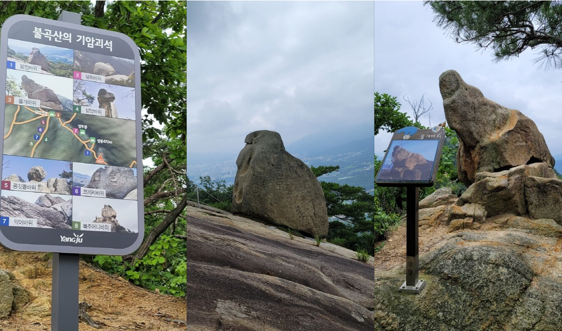 기암괴석안내표, 펭귄, 물개바위