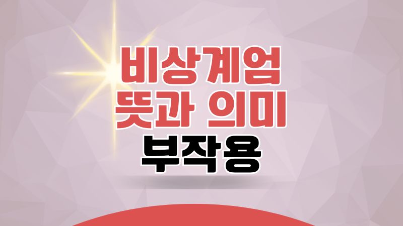 비상계엄 뜻과 의미, 부작용