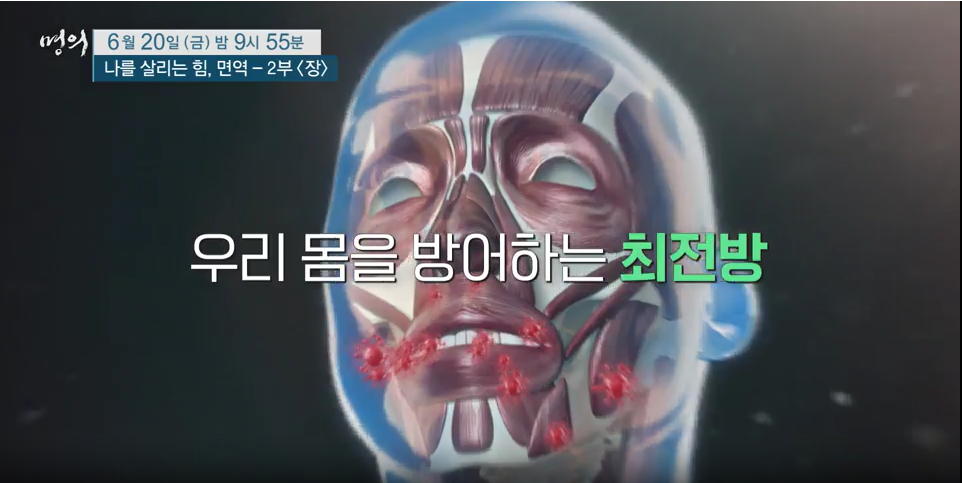명의 - 면역력 특집 나를 살리는 힘, 면역 - 2부, 장