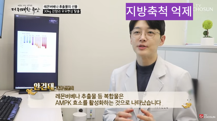 레몬버베나의 효능과 다이어트 효과