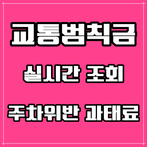 교통범칙금 조회