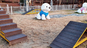 반려견과 함께하는 전국휴게소