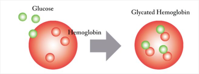 hba1c 정상수치