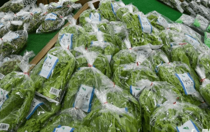 포장된 상추가 마트 진열대에 진열되어있는 장면