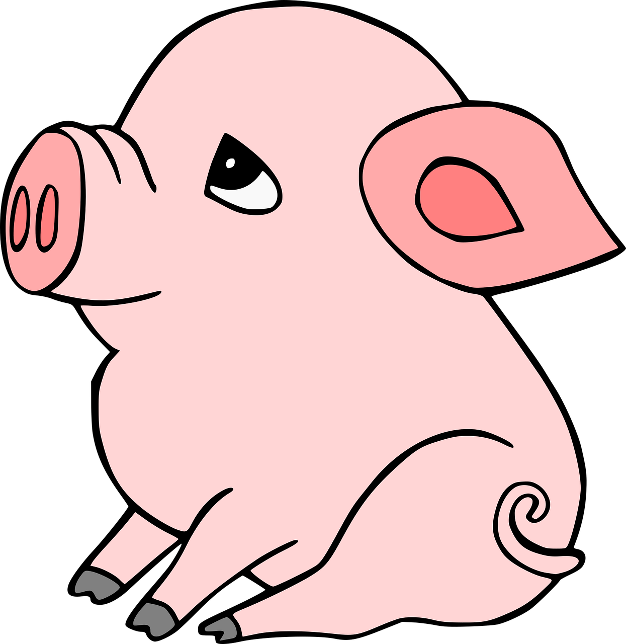 돼지 그림 이미지