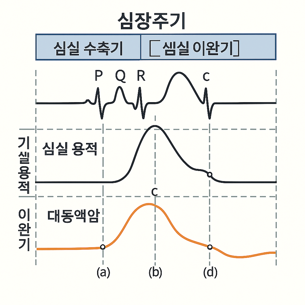위거스 다이어그램의 심장주기