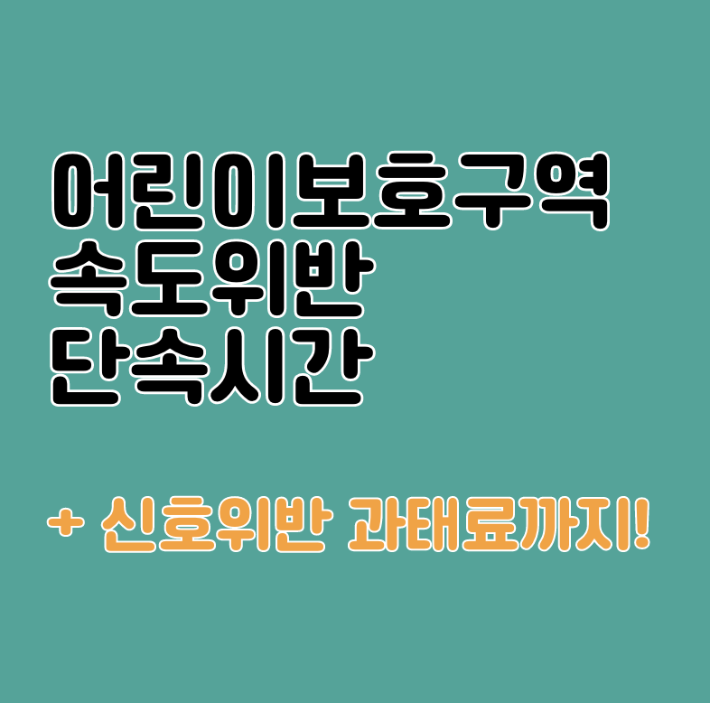 어린이보호구역 속도위반 단속시간