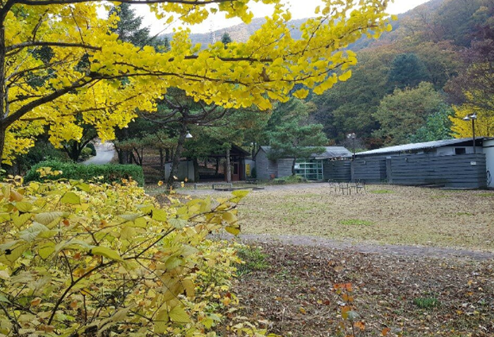 청평자연휴양림