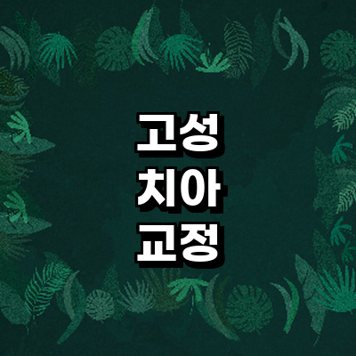 고성군 교정 치과