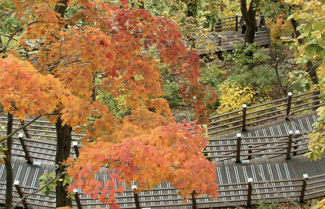 산책길&스카이워크