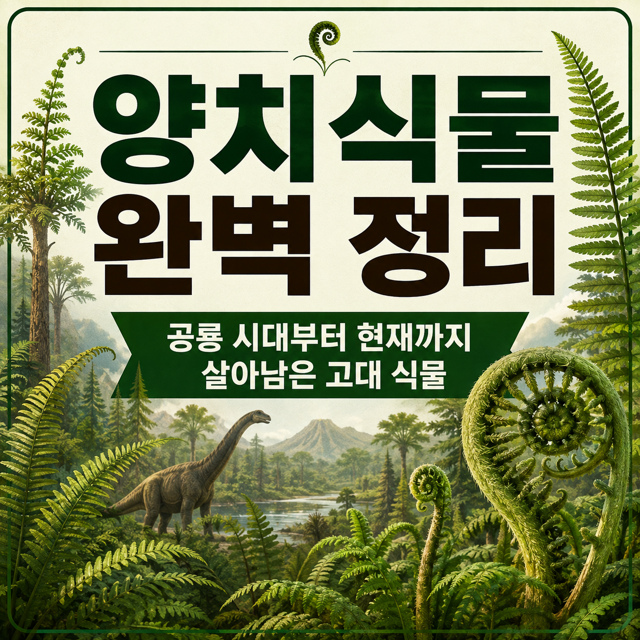 양치식물