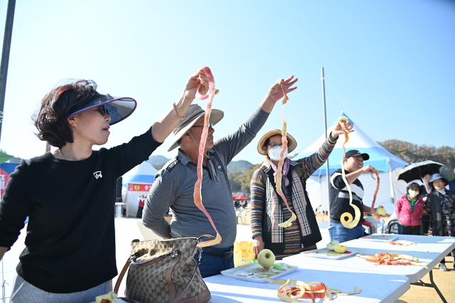 2024청송사과축제정보