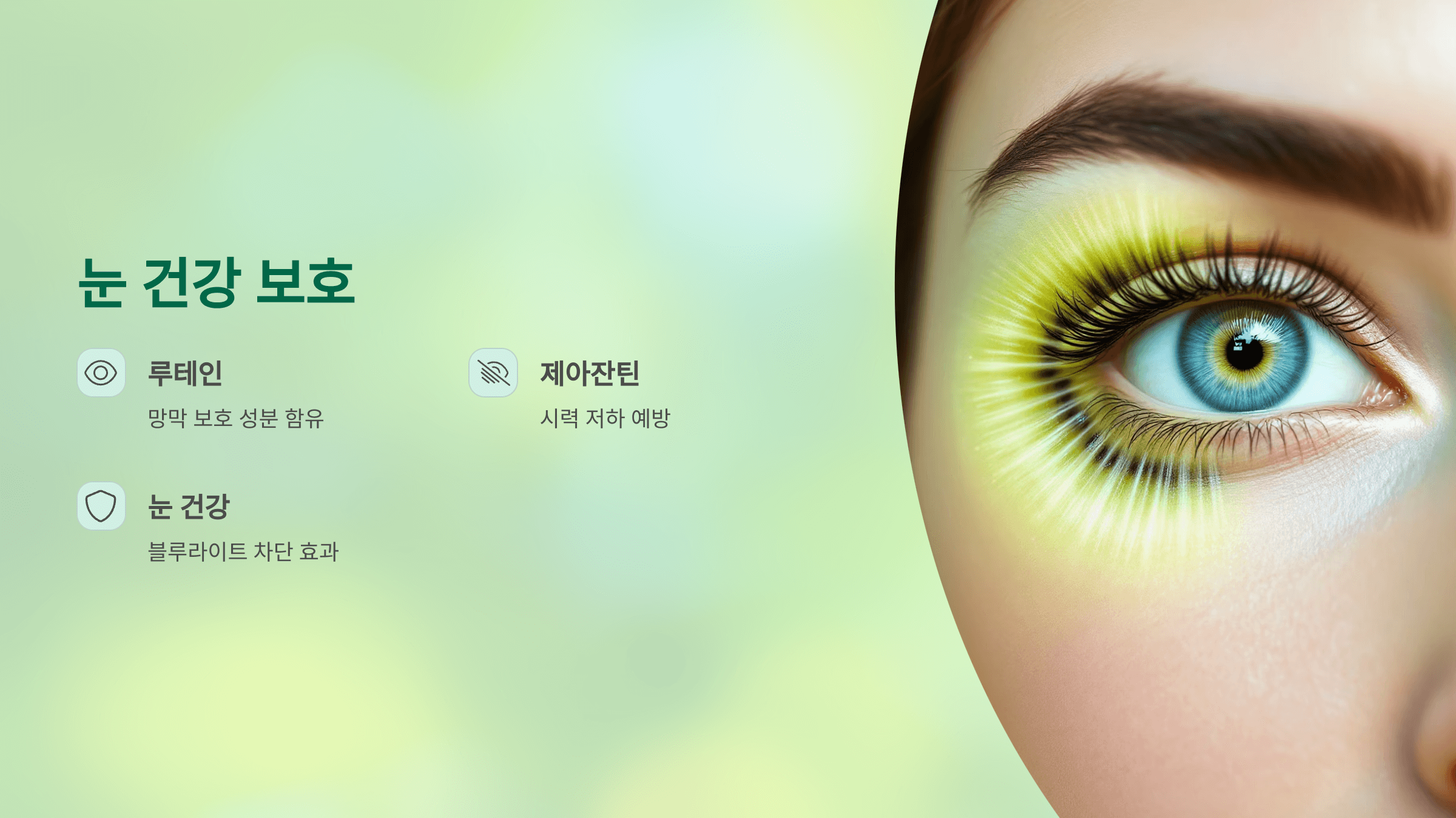 키위 사진입니다.