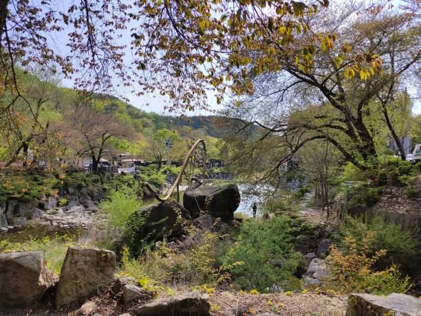 국내에서 안전하게 방문할 수 있는 폐허 여행지 7선 (2025년 기준)