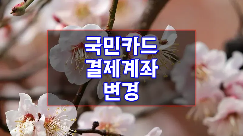 국민카드 결제계좌 변경하는 방법