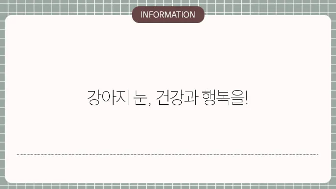 강아지 눈 영양제 추천