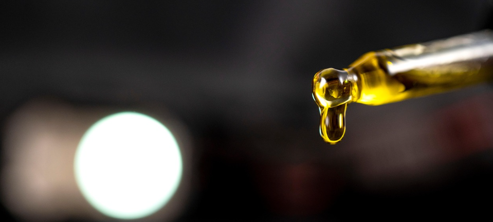 대마종자유의 모습