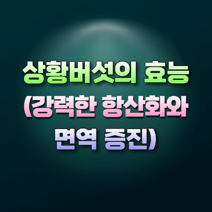 상황버섯의효능