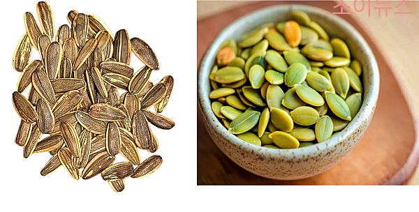 탈모에 좋은 음식, 해바라기씨(왼쪽)/호박씨(오른쪽)