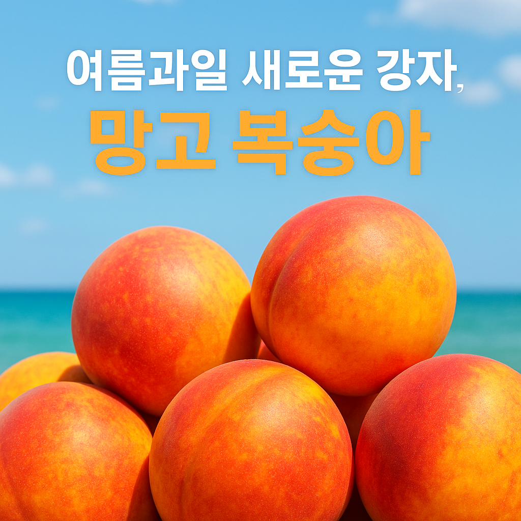 여름과일 망고 복숭아