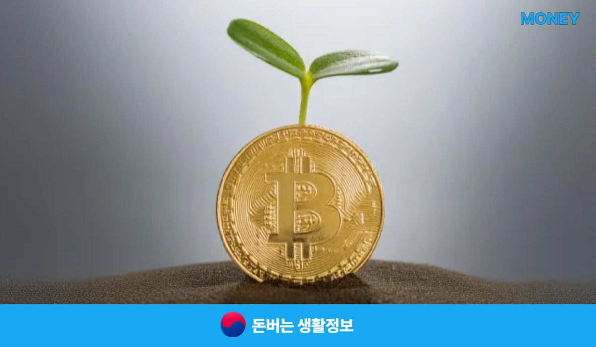 싸이월드 로그인