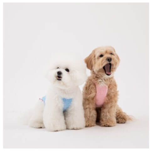 2024 크리스마스 서울 펫쇼 사전등록 입장료 주차 안내