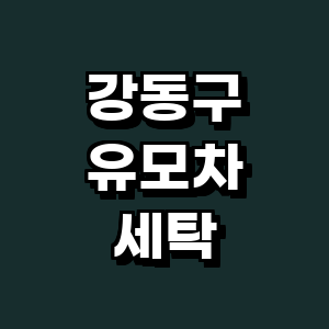 서울 강동구 유모차 세탁