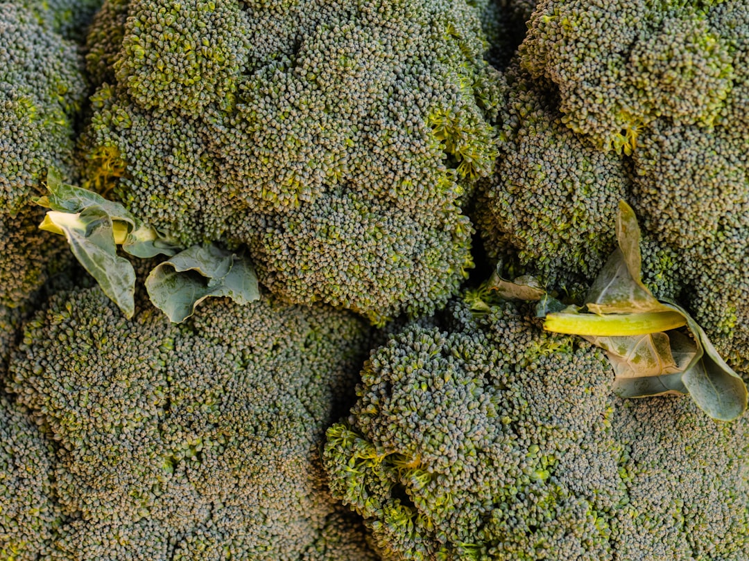 Broccoli