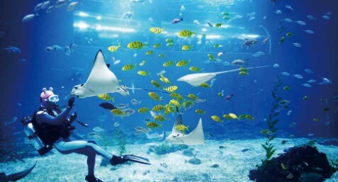 아쿠아플라넷-제주