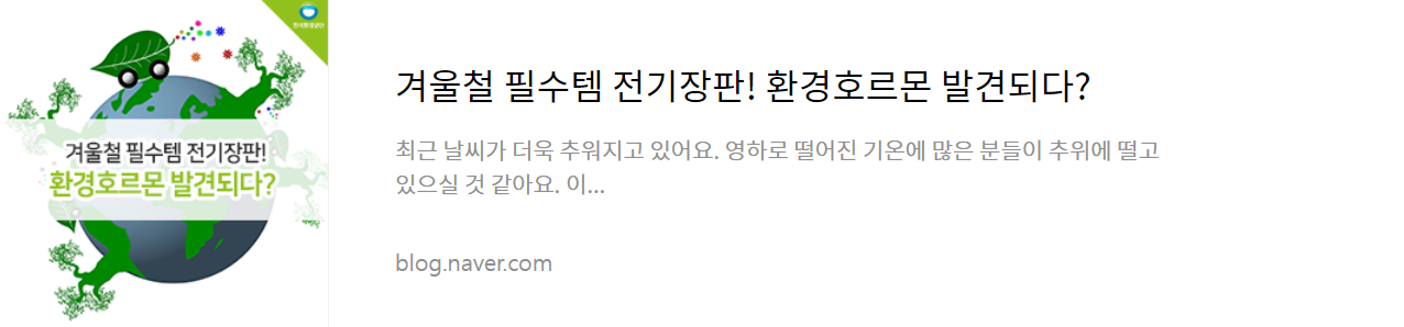 겨울철 필수템 전기장판! 환경호르몬 발견되다