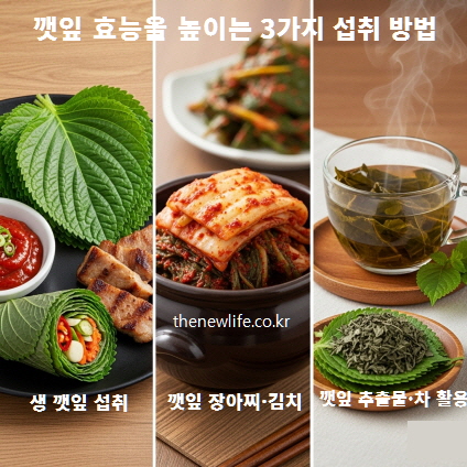 깻잎 효능을 높이는 3가지 섭취 방법 &ndash; 생 깻잎 섭취, 깻잎 장아찌와 김치, 깻잎 추출물과 차 활용