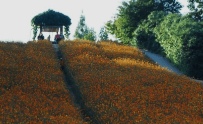 서울근교 단풍 명소 추천