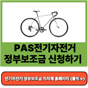 2025 전기자전거 정부보조금 완벽 가이드- PAS전기자전거 지원금, 신청 절차와 꿀팁까지!