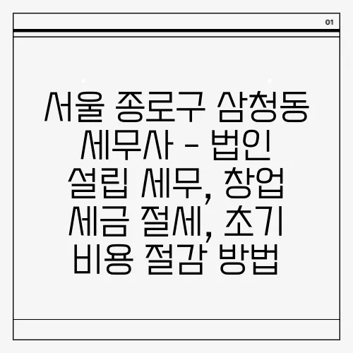 서울 종로구 삼청동 세무사 - 법인 설립 세무, 창업 세금 절세, 초기 비용 절감 방법