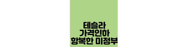 테슬라-가격인하-미국정부