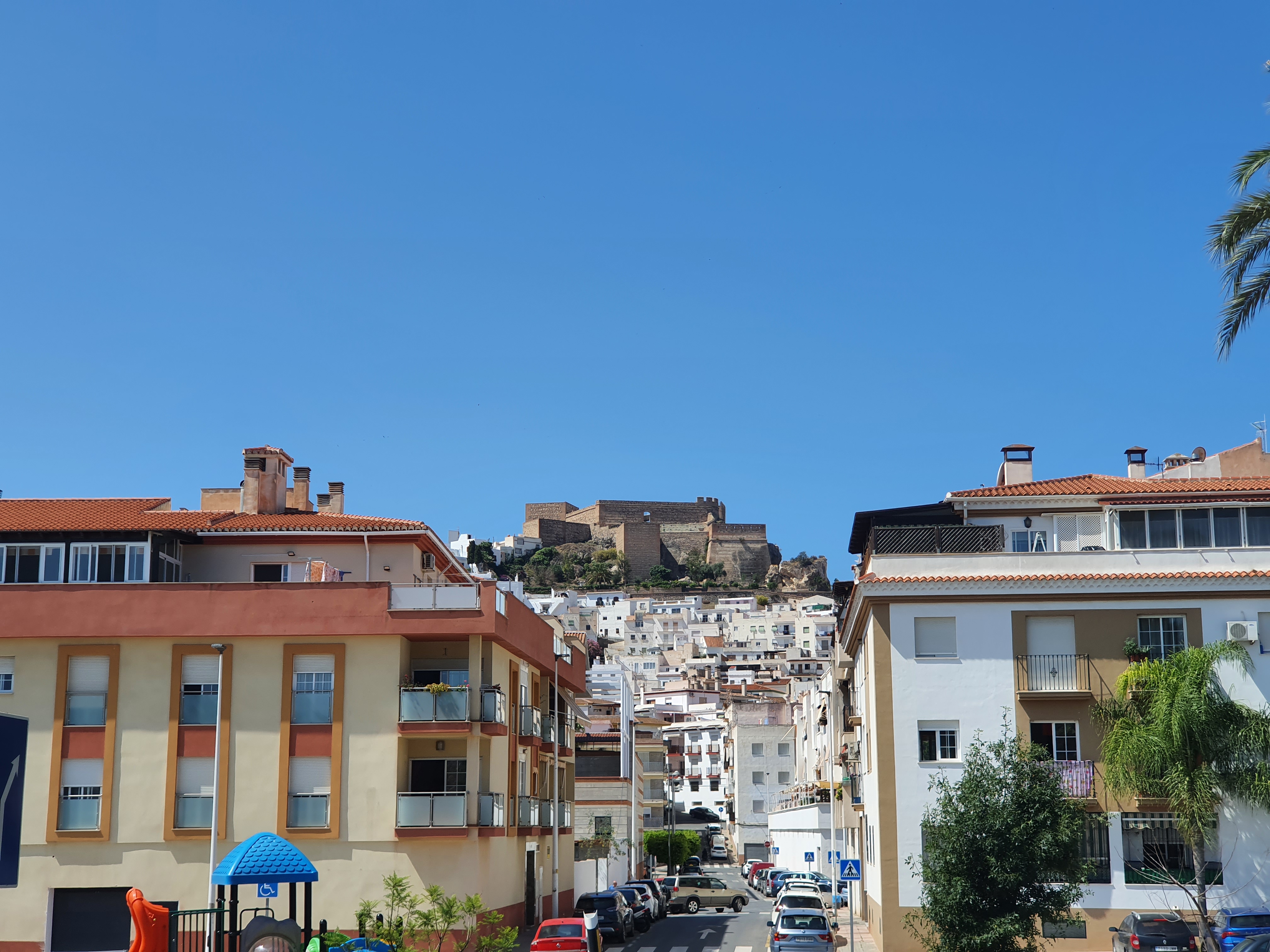 스페인 모트릴 살로브레냐