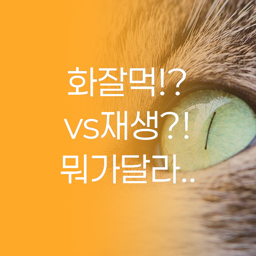 민감 피부를 위한 시카크림 화잘먹 v..