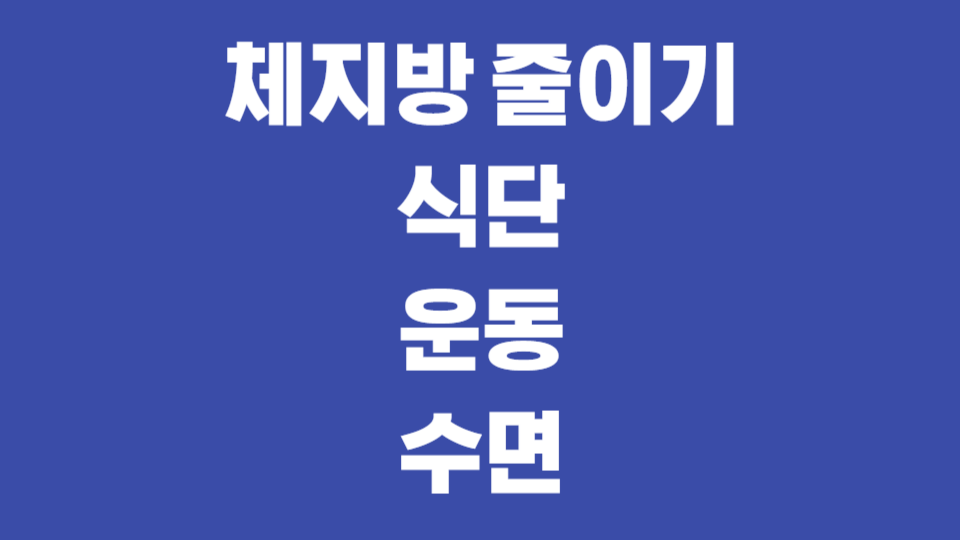 체지방 줄이기 (식단, 운동, 수면)