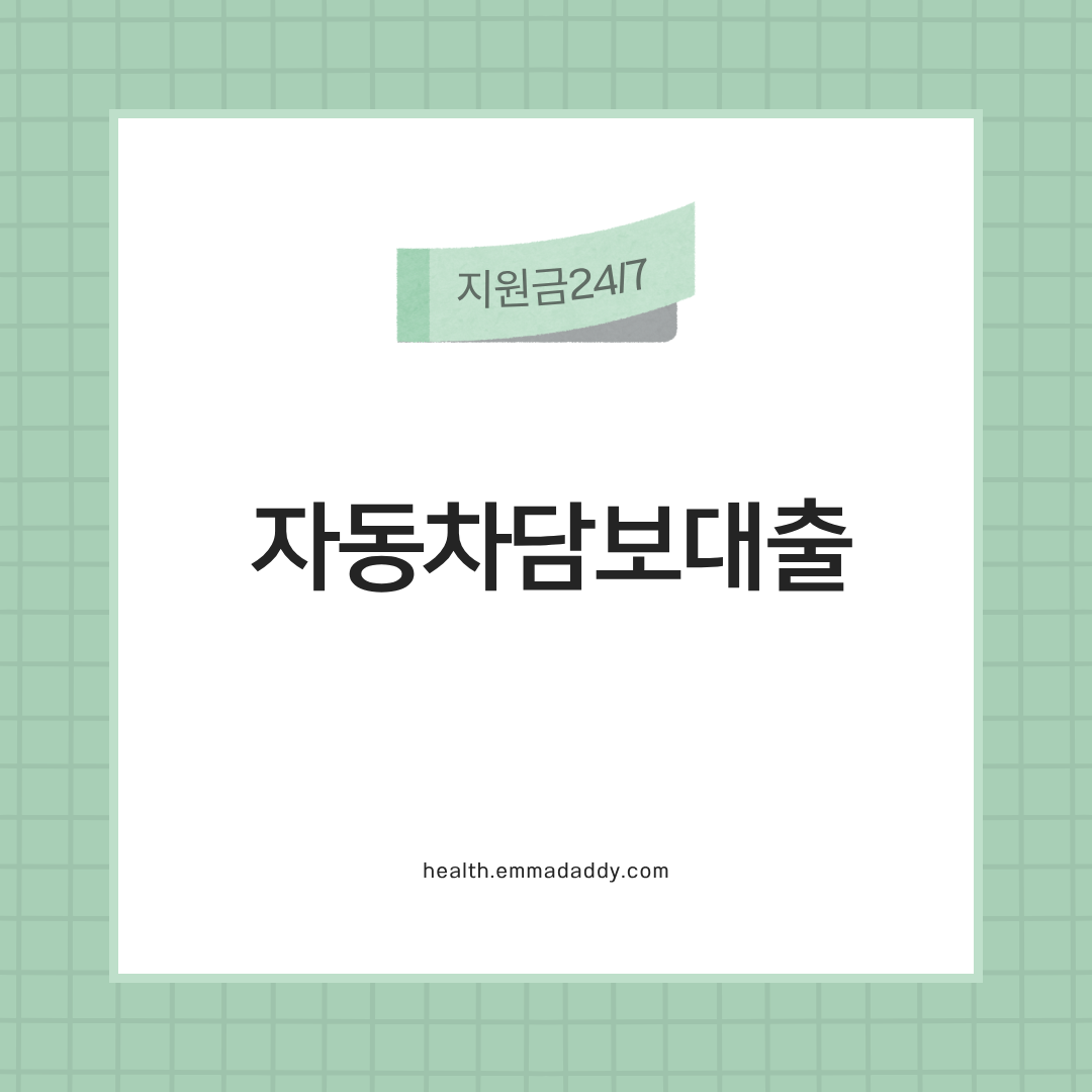 자동차담보대출 01