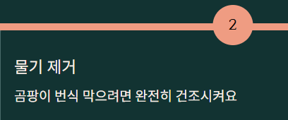 밤 보관하는 방법