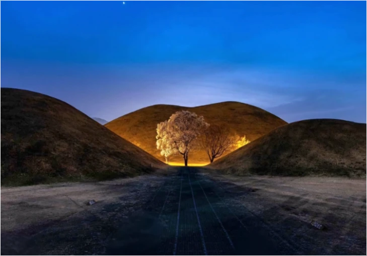 경주-벚꽃-명소