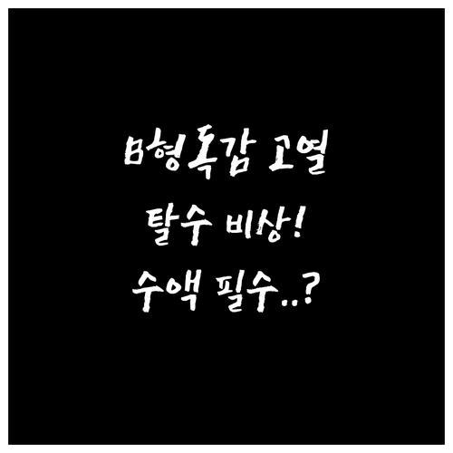 B형 독감 고열 탈수 증상별 수액 치..