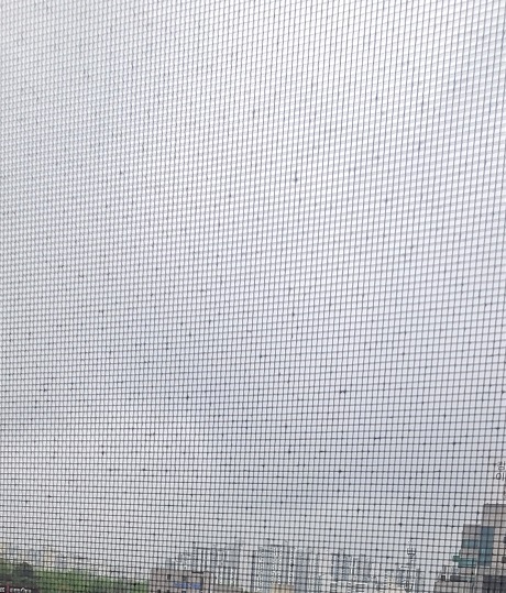 방충망청소를 해야 하는 이유