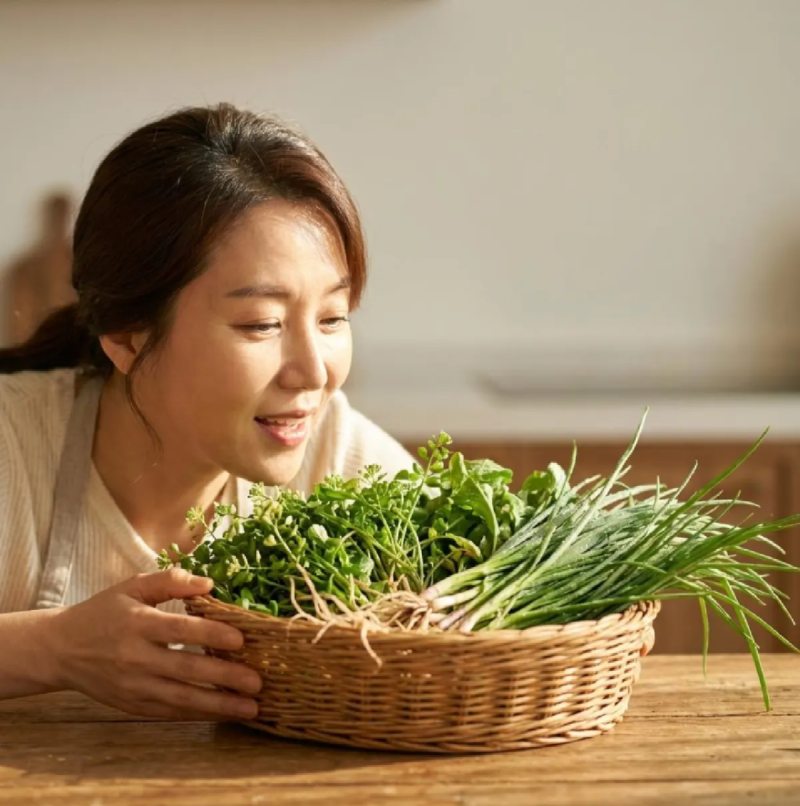 바구니에 담긴 신선한 달래와 냉이, 춘곤증 극복을 위한 봄 제철 나물